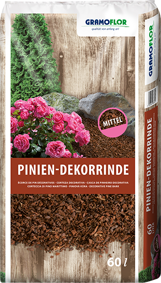 Pinienrinde mittel